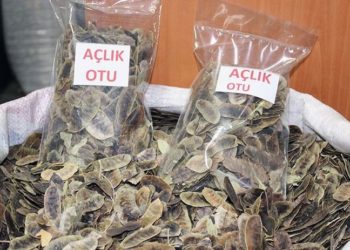 Uzmandan zayıflamak için 'açlık otu' tüketenlere uyarı