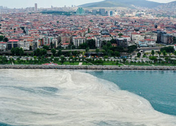 Vali Yerlikaya: 18 Haziran itibariyle İstanbul’umuzda bin 361 metreküp müsilaj temizlendi