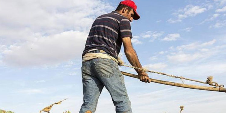 Ziraat Mühendisleri Odası Başkanı Suiçmez: Çiftçilerin borcu 205 milyar TL'yi aştı