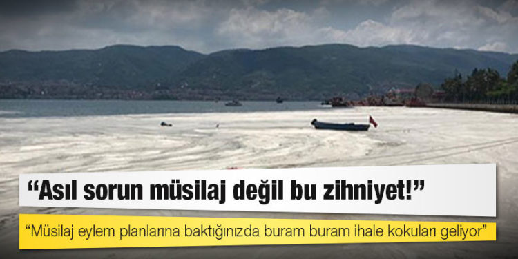 Çevre Mühendisleri Odası Genel Başkanı: Müsilaj eylem planlarına baktığınızda buram buram ihale kokuları geliyor