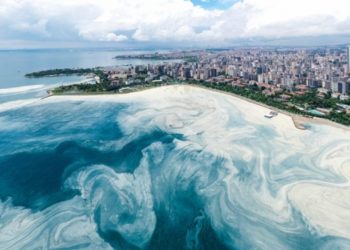 &Ccedil;evre bakanı: &lsquo;M&uuml;silaj&rsquo; tehlikeli atık ya da toksik &ouml;zellikli değil