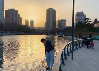 Çin'de şehirlerin dokusu değişiyor; hükümet, yeşil alanlar yaratmakta kararlı
