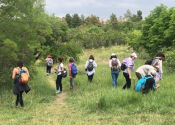 Üçüncü 'Tür Say!' Etkinliği ODTÜ Yerleşkesinde Yapıldı