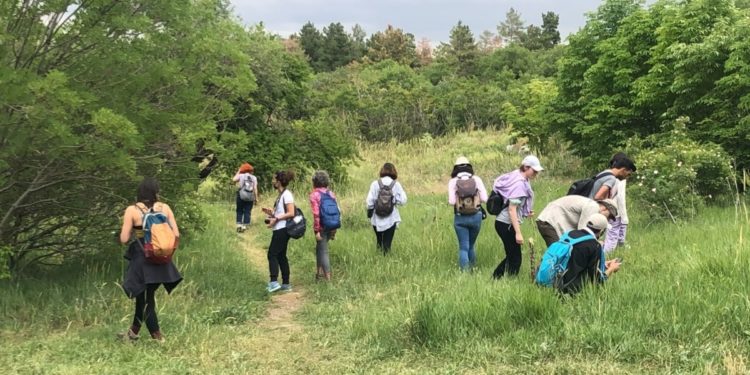 Üçüncü 'Tür Say!' Etkinliği ODTÜ Yerleşkesinde Yapıldı
