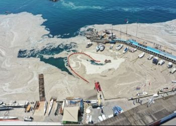 İTÜ’den Marmara’yı musilajdan kurtarmak için 10 öneri