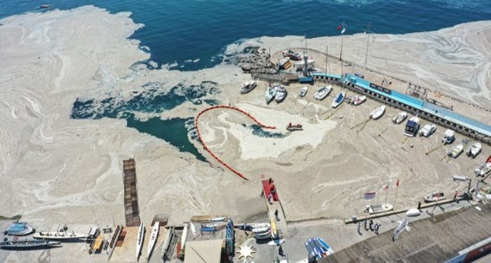 İTÜ’den Marmara’yı musilajdan kurtarmak için 10 öneri