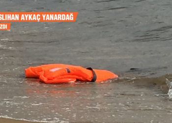 İnsan haklarının 70 yılı: Bir arpa boyu yol