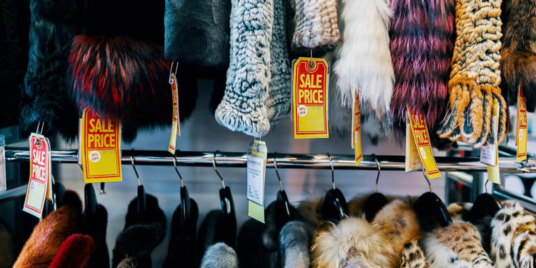 İsrail, moda endüstrisi için kürk ticaretini yasaklayan ilk ülke oldu