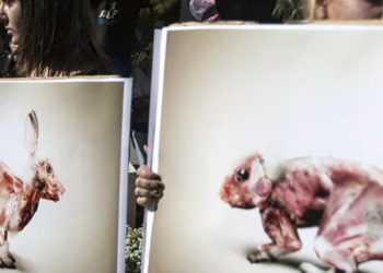 İsrail, moda sektöründe kürk kullanılmasını yasaklayan ilk ülke oldu