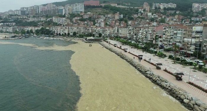 ‘Marmara deniz salyası sonrası ölü bir tuzlu su yatağına dönüştü’