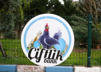 Saadet zincirinin ilk halkası teslim oldu: Çiftlik Bank soruşturmasında neler yaşandı?