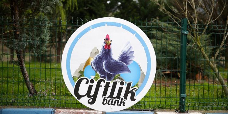 Saadet zincirinin ilk halkası teslim oldu: Çiftlik Bank soruşturmasında neler yaşandı?