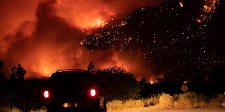 ABD ve Kanada’daki yangınlarda milyonlarca hektarlık alan kül oldu