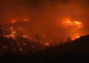 Güney Kıbrıs’taki orman yangınında 4 kişi hayatını kaybetti