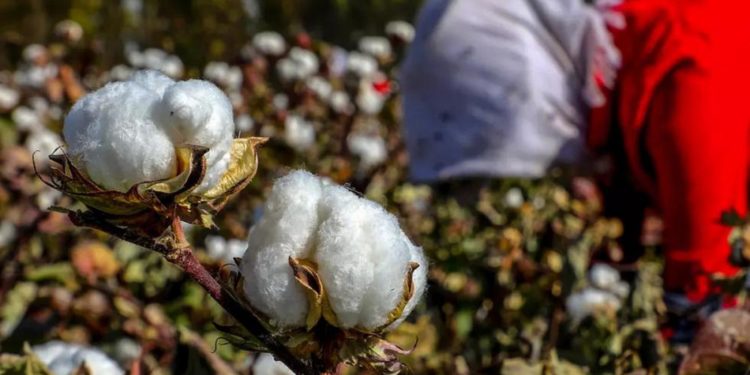 Fransız yargısı, Çin’de Uygurlardan kazanç sağlayan 4 tekstil devi hakkında soruşturma başlattı