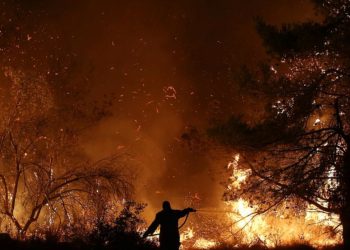 Yunanistan: Eğriboz Adası’ndaki orman yangını ikinci gününde de kontrol altına alınamadı