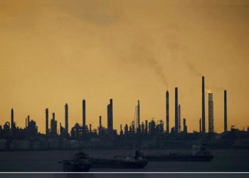 Araştırma: Çevre kirliliği penis boyutunun küçülmesine yol açıyor