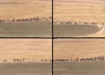 Afganların Türkiye’ye kaçak yollardan girişi sürüyor