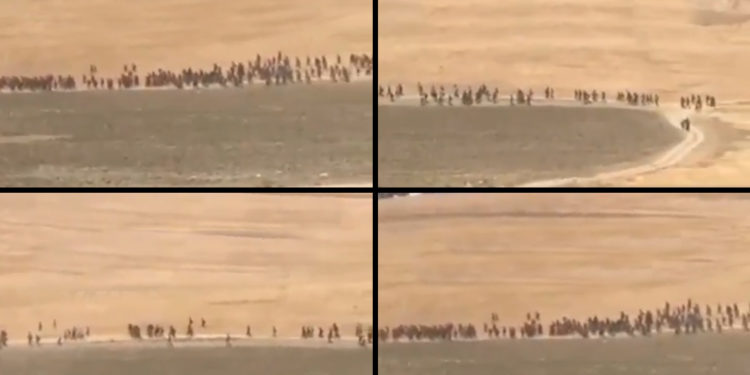 Afganların Türkiye’ye kaçak yollardan girişi sürüyor