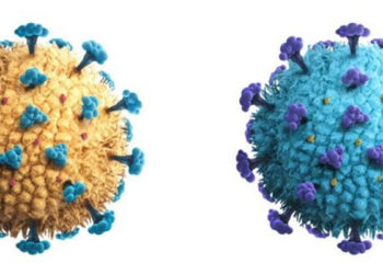 Belçika'da koronavirüsün iki ayrı varyantına aynı anda yakalanan hasta öldü