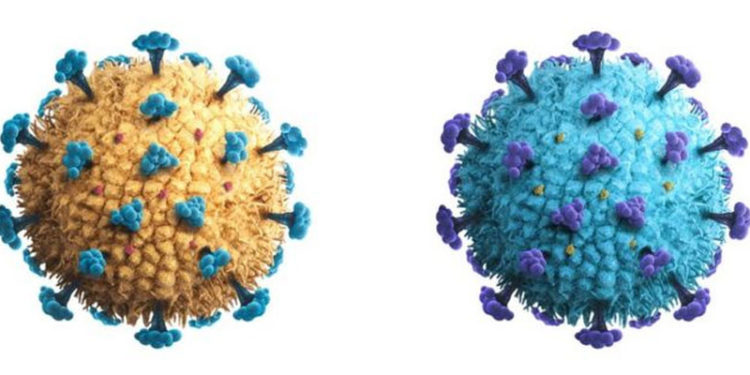 Belçika'da koronavirüsün iki ayrı varyantına aynı anda yakalanan hasta öldü