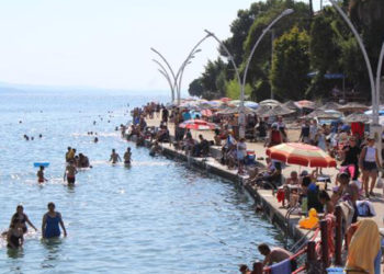 Bilim Kurulu Üyesi Prof. Dr. Yavuz: Ağustos ayında yeni pike hazır olmalıyız