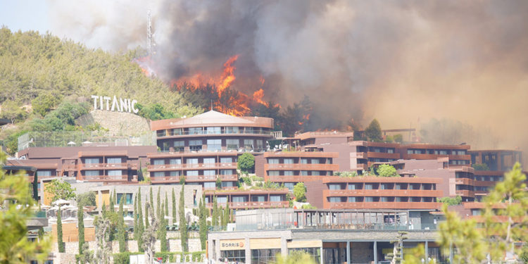 Binlerce hektar ormanlık alan kül oldu! Orman Bakanı: Soruşturma yapılıyor