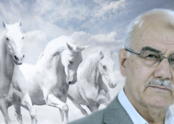 Bir gönül şehsuvarı: Mehmet Ali Şengül