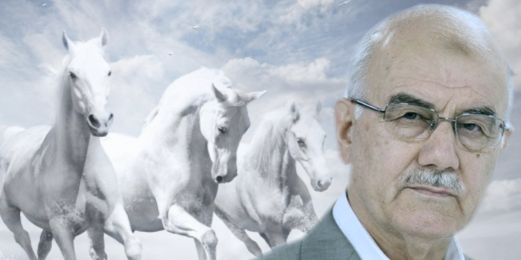 Bir gönül şehsuvarı: Mehmet Ali Şengül