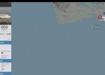 Boeing 737 tipi kargo uçağı, Hawaii adası açıklarında acil iniş yaptı