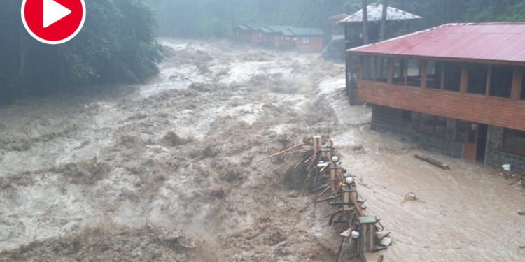 Dereler taştı, yollar kapandı; Rize’yi yine sel vurdu