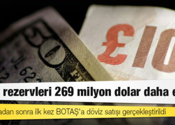 Döviz rezervleri 269 milyon dolar daha eridi