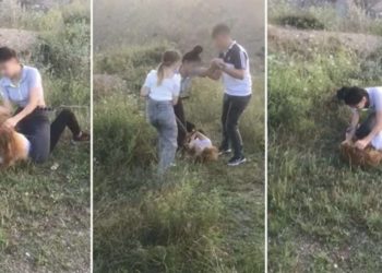 Elif &Ccedil;akal'ın &ouml;l&uuml;m&uuml;ne ilişkin bir kişi tutuklandı, iki kişi aranıyor