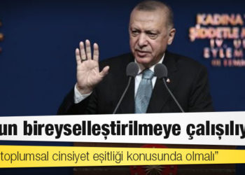 Erdoğan'ın açıkladığı kadına şiddetle mücadele eylem planı hak savunucularına 'güven vermedi'