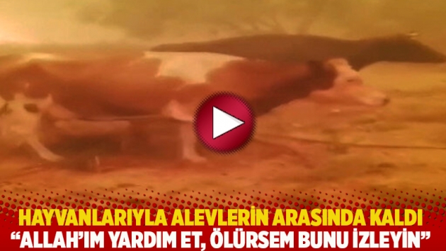 Hayvanlarıyla alevlerin arasında kaldı: Allah'ım yardım et, ölürsem bunu izleyin