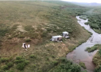 Issız bir yerde tek başına kalan adam, bir hafta boyunca aynı ayının saldırısına uğradı