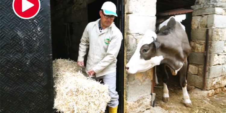 KHK’lı hakim Eyüp Sarı: İhraç edilecekler listesi 15 Temmuz’dan çok önce hazırlanmış