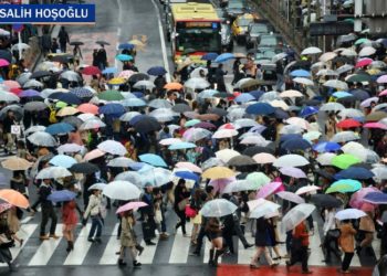 Kalabalıkların bilgeliği ve muhafazakar Anadolu insanı