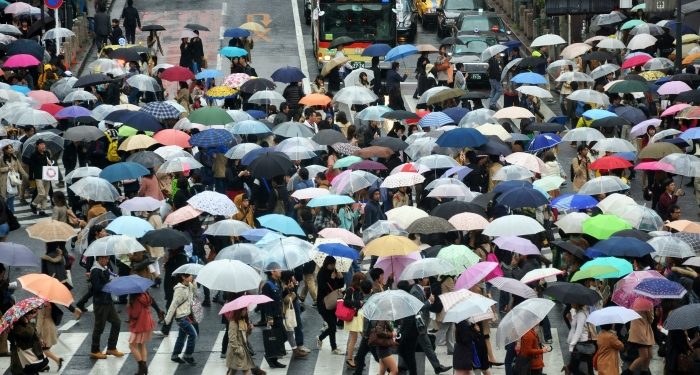 Kalabalıkların bilgeliği ve muhafazakar Anadolu insanı
