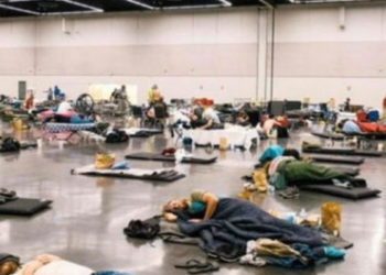 Kanada’da kavurucu sıcaklar 719 can aldı