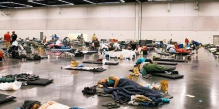 Kanada’da kavurucu sıcaklar 719 can aldı