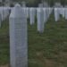 Kosova Meclisi, Srebrenitsa Soykırımını kınayan karar tasarısını kabul etti