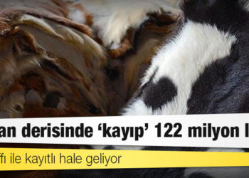 Kurban derisinde "kayıp" 122 milyon lira
