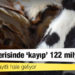 Kurban derisinde "kayıp" 122 milyon lira