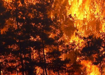 Manavgat, Adana, Osmaniye ve Mersin’de orman yangınları kontrol altına alınamıyor