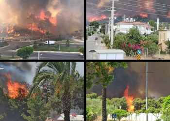 Manavgat alevlere teslim; orman yangını yerleşim yerlerine sıçradı