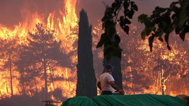 Manavgat'taki yangınlara soruşturma