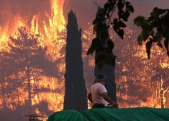 Manavgat'taki yangınlara soruşturma