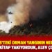 Marmaris’teki orman yangının nedeni belli oldu: Kitap yakıyorduk, alev çoğaldı