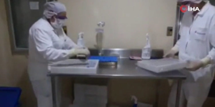 Meksika’da Sputnik V aşısının üretimi başladı